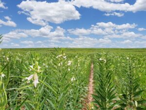 220210223_134255 복사1