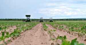 Cap 2025-05-01 10-42-36-785