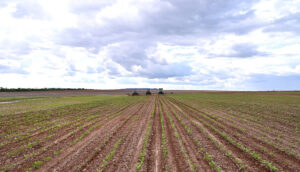 Cap 2025-05-01 10-42-45-678