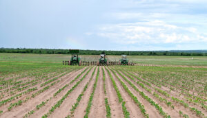 Cap 2025-05-01 10-43-25-924