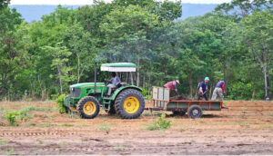 Cap 2025-05-01 10-46-19-960