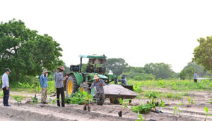 Cap 2025-05-01 10-46-30-132