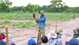 Cap 2025-05-01 10-46-36-694