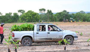 Cap 2025-05-01 10-46-43-097