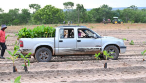 Cap 2025-05-01 10-47-01-573