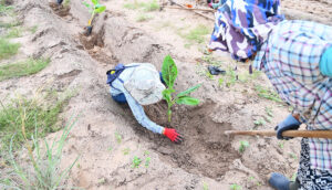 Cap 2025-05-01 10-47-17-796