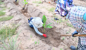 Cap 2025-05-01 10-47-33-639