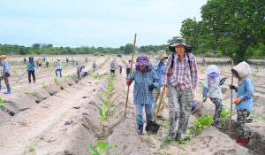 Cap 2025-05-01 10-47-42-786