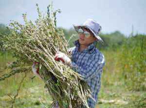 Cap 2025-05-06 15-12-38-714