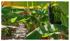 thumb-1805e10157d65870f5e7642618a24973_1691323734_263_800x463