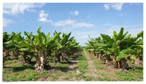 thumb-1805e10157d65870f5e7642618a24973_1691323745_7459_800x463