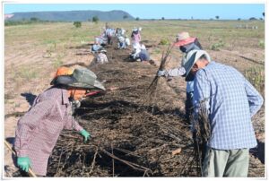 thumb-1e96218b7322261ae14c9b901fccd4df_1558699970_5363_800x539