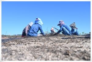 thumb-1e96218b7322261ae14c9b901fccd4df_1558700001_6353_800x539