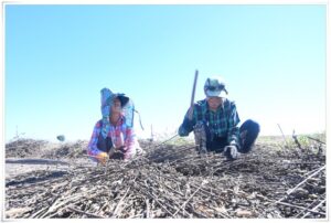 thumb-1e96218b7322261ae14c9b901fccd4df_1558700043_2788_800x539