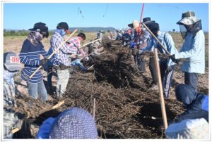 thumb-1e96218b7322261ae14c9b901fccd4df_1558701815_8385_800x539