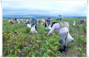 thumb-9b80552e214a775f21cd23a8b900588e_1553859592_8408_800x522