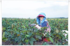 thumb-9b80552e214a775f21cd23a8b900588e_1553859597_2024_800x522