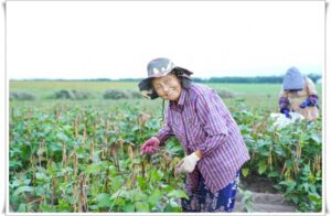 thumb-9b80552e214a775f21cd23a8b900588e_1553859613_0262_800x522